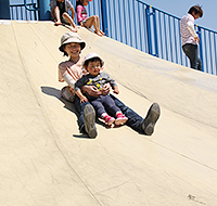 写真6