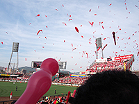 写真5