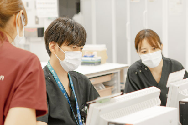 写真1